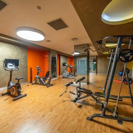 Appartement One Bedroom Flat With Gym Petek 103